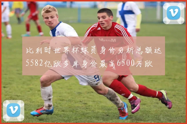 比利时世界杯球员身价分析总额达5582亿欧多库身价最高6500万欧
