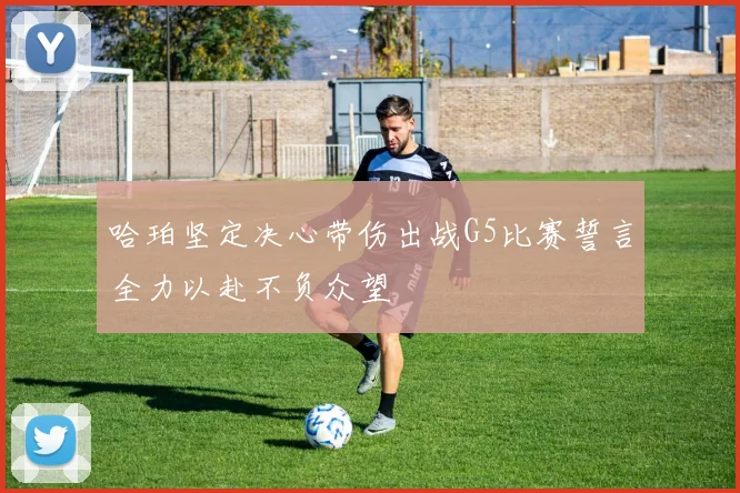 哈珀坚定决心带伤出战G5比赛誓言全力以赴不负众望