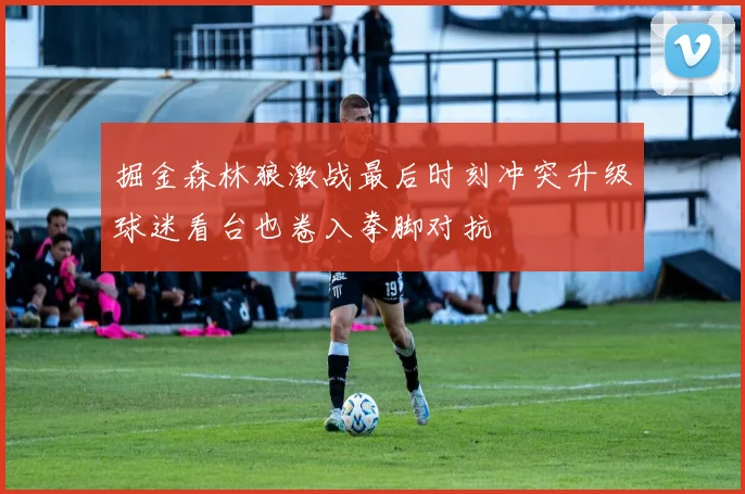 掘金森林狼激战最后时刻冲突升级球迷看台也卷入拳脚对抗