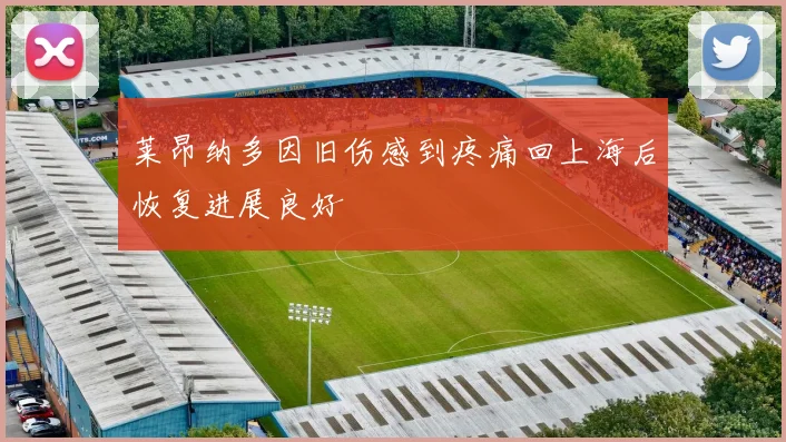 莱昂纳多因旧伤感到疼痛回上海后恢复进展良好